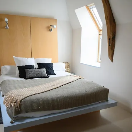 Vignoble Chateau Piegue - Winery