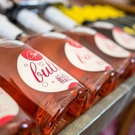 Vignoble Chateau Piegue - Winery