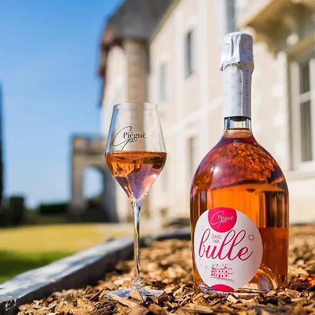 فندق مبيت وإفطار Vignoble Chateau Piegue - Winery