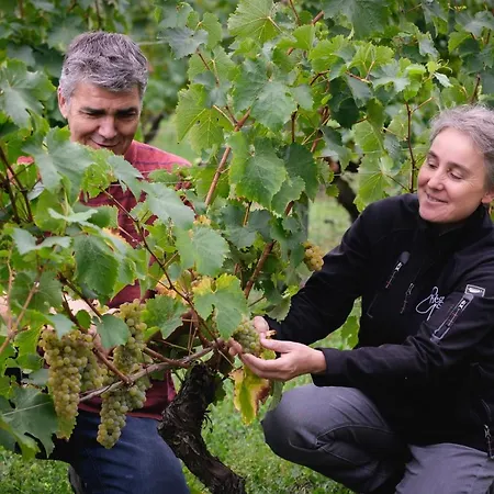 Vignoble Chateau Piegue - Winery *