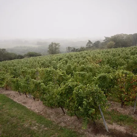 Vignoble Chateau Piegue - Winery Bed & Breakfast *