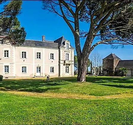 Bed & Breakfast Vignoble Chateau Piegue - Winery Rochefort-sur-Loire