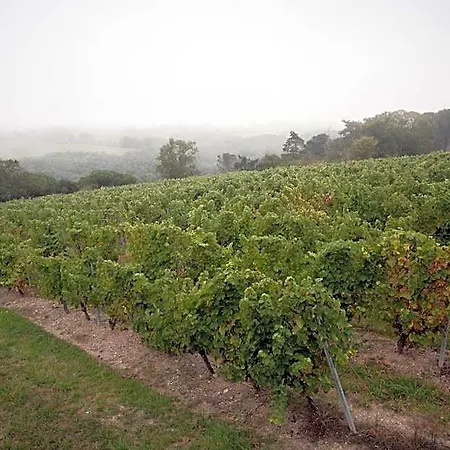 Vignoble Chateau Piegue - Winery Bed & Breakfast 3*