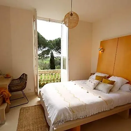 Vignoble Chateau Piegue - Winery Bed & Breakfast Rochefort-sur-Loire