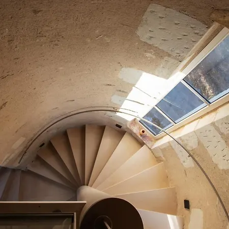 Vignoble Château Piéguë - Winery 3*