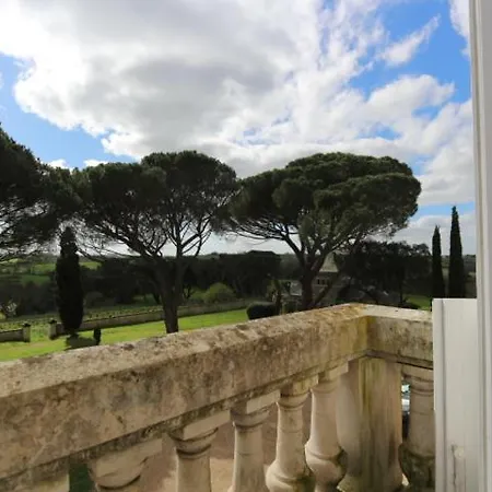 Vignoble Chateau Piegue - Winery *