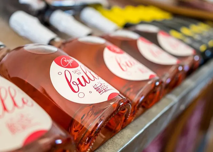 Vignoble Chateau Piegue - Winery