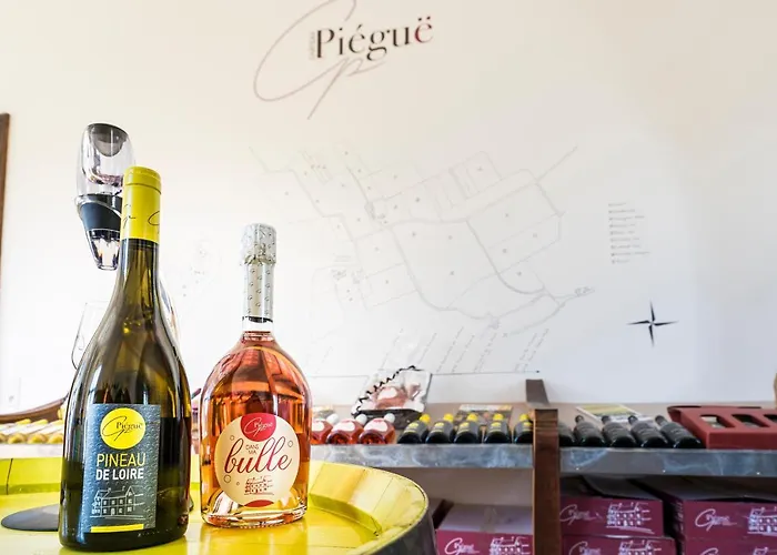 Vignoble Chateau Piegue - Winery לינה וארוחת בוקר Rochefort-sur-Loire