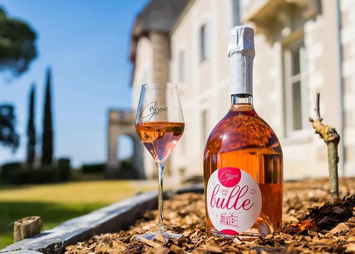 Couette-café Vignoble Château Piéguë - Winery