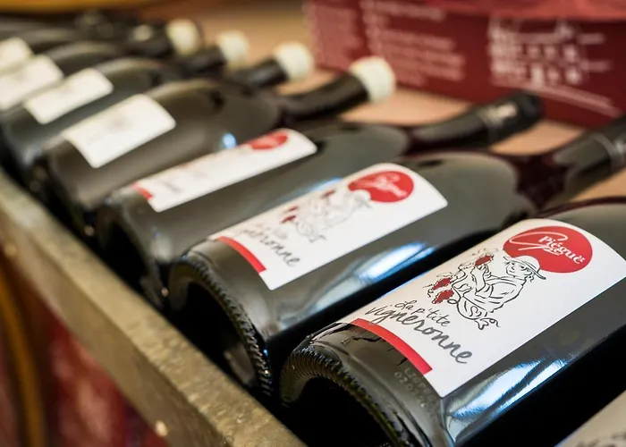 Vignoble Château Piéguë - Winery Couette-café Rochefort-sur-Loire