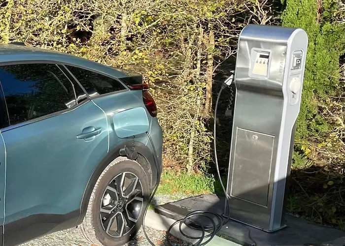 Vignoble Château Piéguë - Winery Couette-café 3*