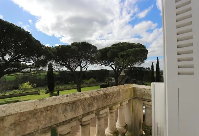 Vignoble Château Piéguë - Winery 3*