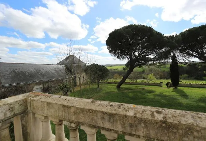Vignoble Château Piéguë - Winery Rochefort-sur-Loire